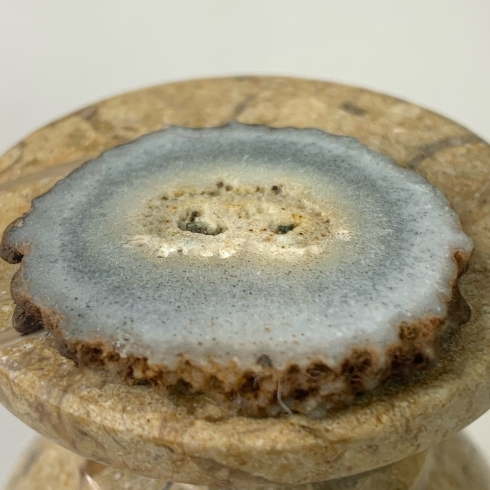 Stalactite Slice Polished Crystal Cave Mineral Rind Las Torres Mine Uruguay 1.3" - Picture 4 of 9